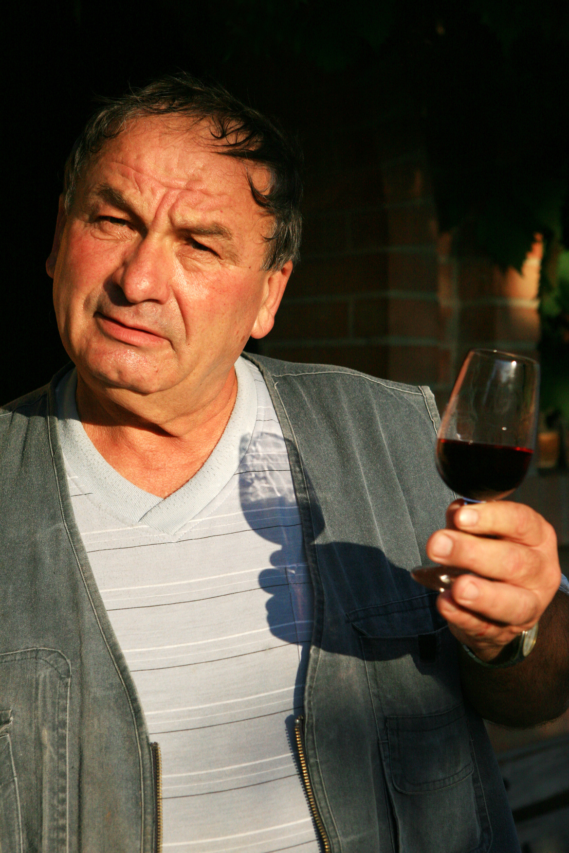 Wine grower and his wines. We have many for you!